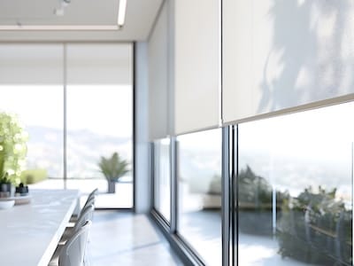 Interior roller blinds are installed in the living room, featuring white colored roller shades on the windows. Within the same room, there are also a houseplant and a sofa present.